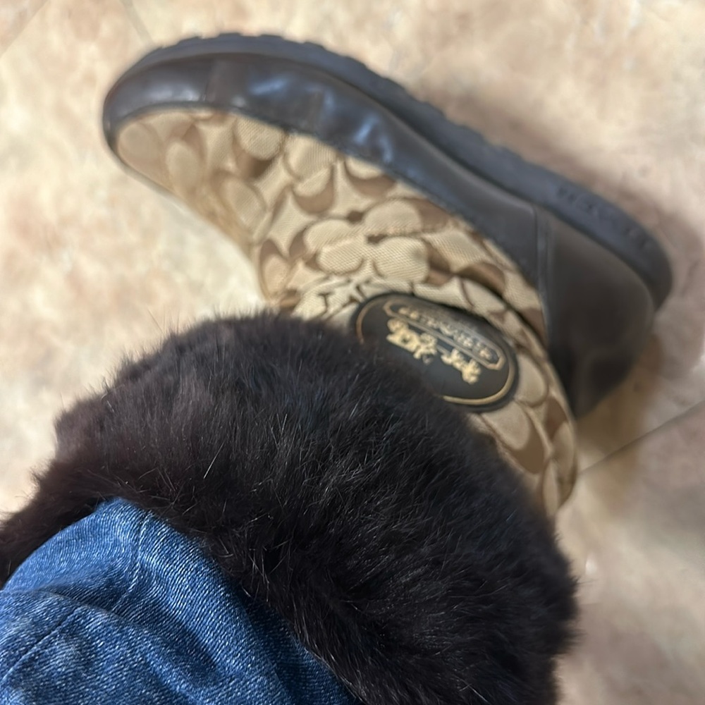 Brown coach leather and fur